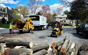 Best Lawn Irrigation Installation and Maintenance  in Sussex, NJ
