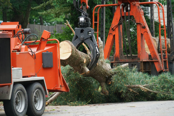 Best Grass Overseeding  in Sussex, NJ