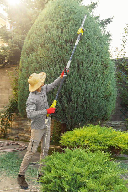 Best Lawn Seeding  in Sussex, NJ